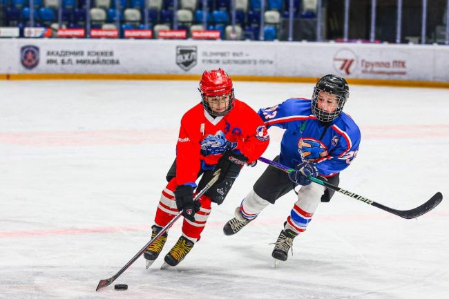 Юные хоккеисты из щёкинской команды «Корд»  участвуют в турнире «Золотая шайба»