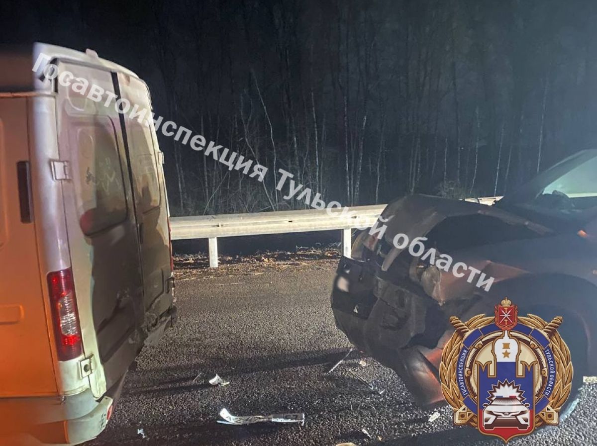 В Щекинском районе водитель иномарки не справился с управлением