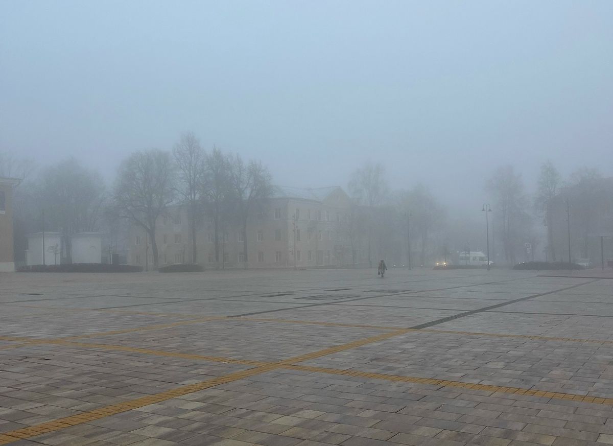 В Тульской области ожидается туман с видимостью до 200 метров