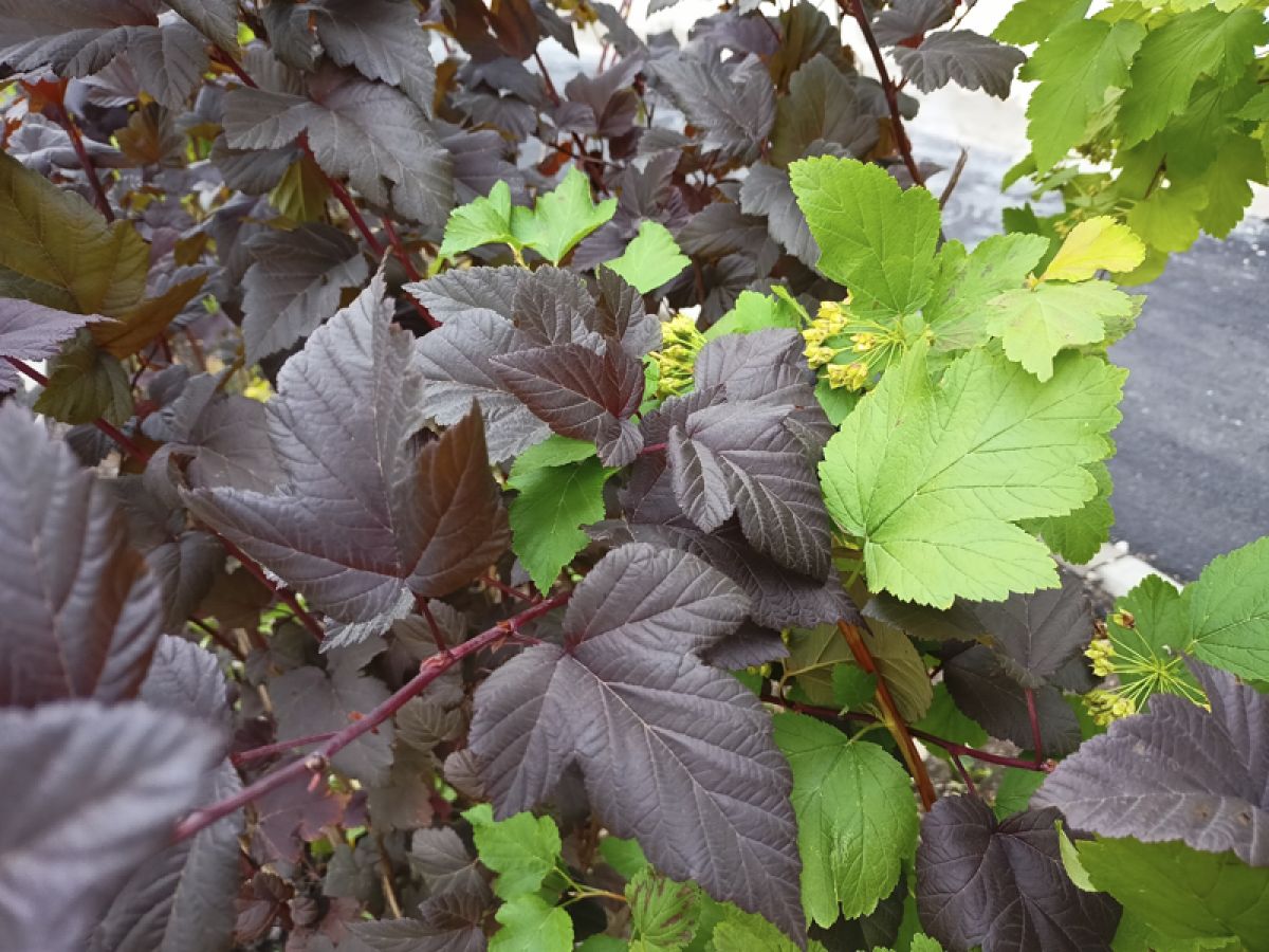 Синичкин день: народные приметы