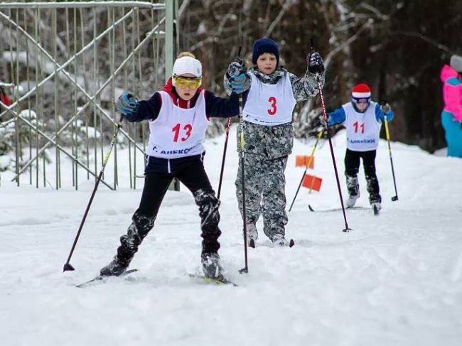 Рождественская лыжная гонка в Алексине пройдет 7 января