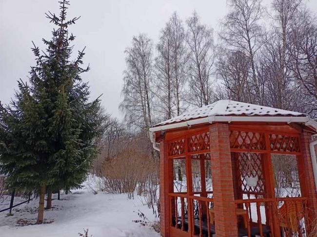 Погода в Щекино 1 декабря 2023 года