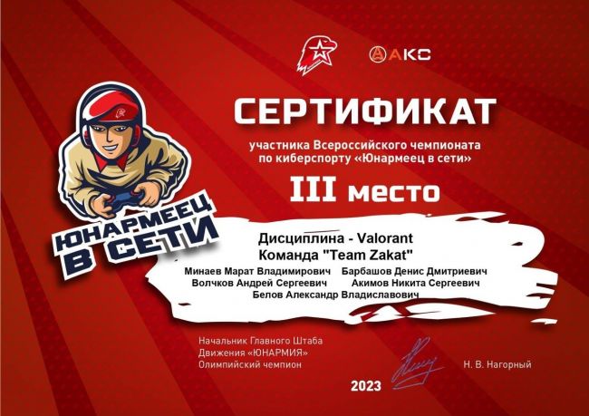 Щекинские юнармейцы стали призерами чемпионата по киберспорту