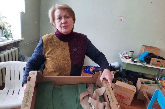 Юлия Скогорева: Наши сети укроют ребят от врага