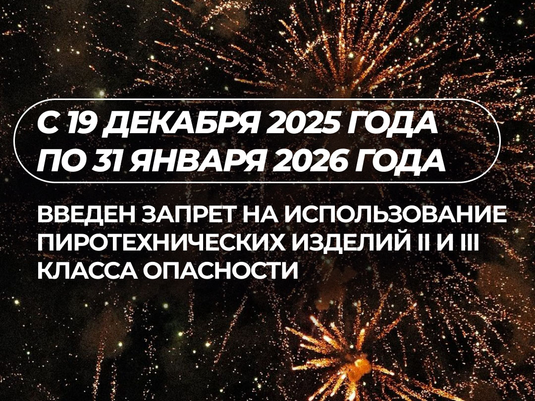Введены ограничения на использование пиротехники в Щекинском районе Введены ограничения на использование пиротехники в Щекинском районе