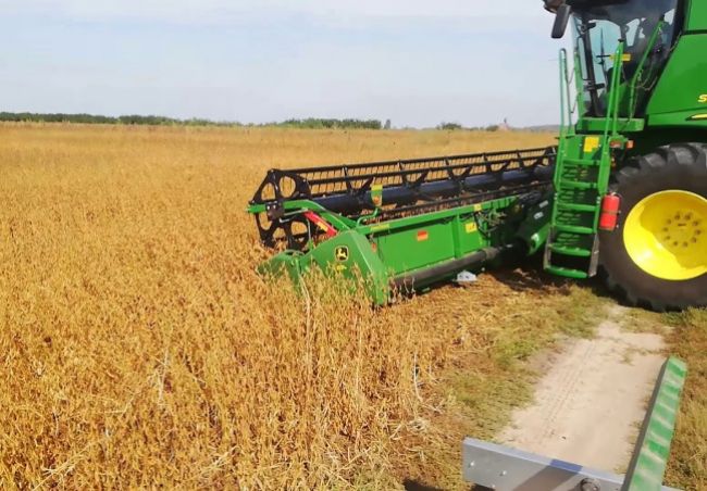 Щекинские аграрии завершают уборку зерновых