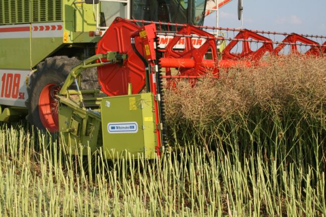 С полей Щекинского района убрано более 70 процентов зерновых