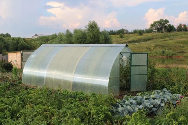 Аграфена Купальница. Народные приметы