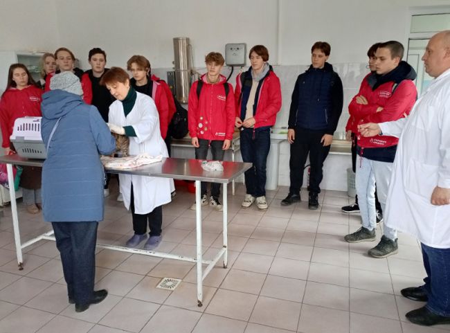 Суворовские волонтеры побывали на экскурсии на ветеринарной станции