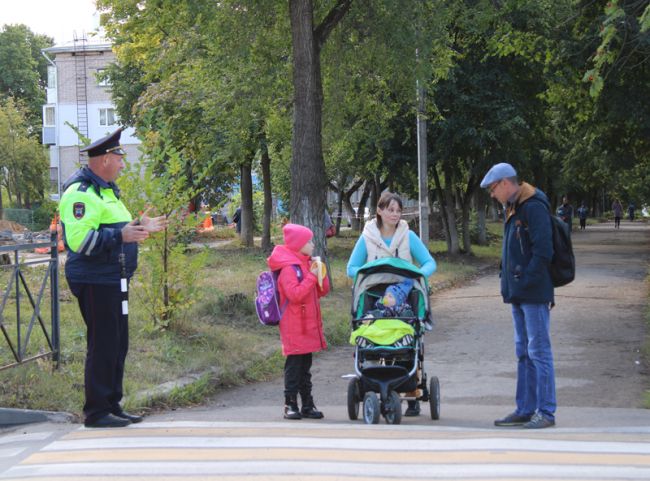 Суворовским пешеходам напоминают правила безопасности