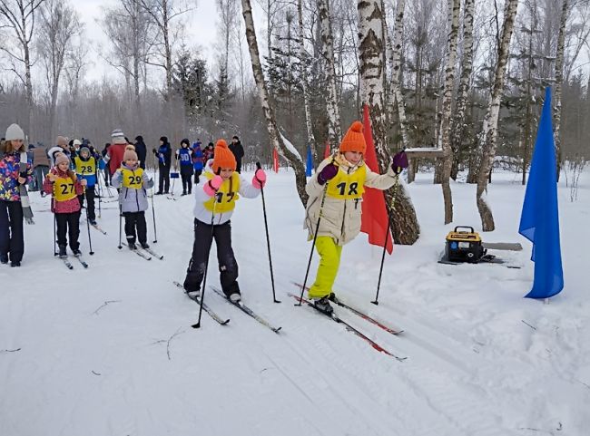 В Суворовском районе завершился муниципальный этап Зимнего фестиваля ГТО