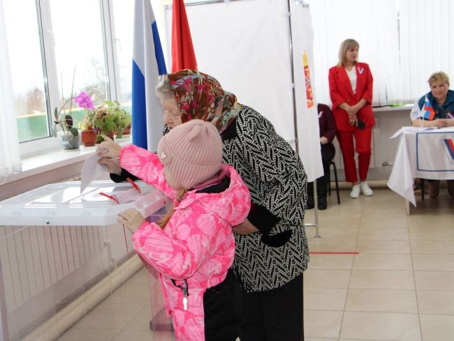 В Тульской области явка избирателей на выборах Президента России по состоянию на  15.00 17  марта  составила 69,76%