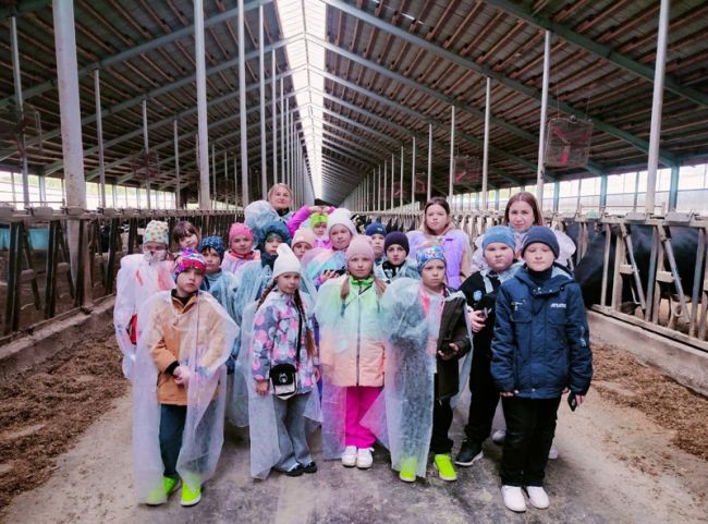 Черепетские школьники побывали на экскурсии в «ЭкоНиве»