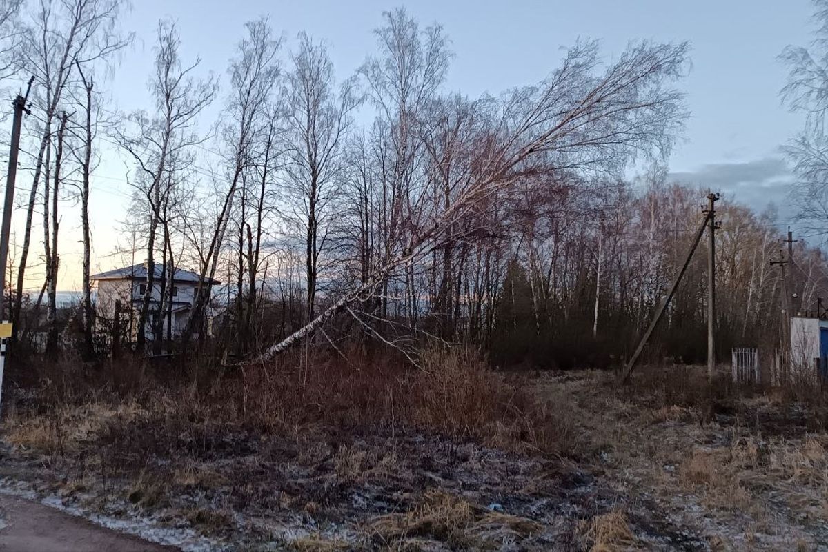 Энергетики «Тулэнерго» в особом режиме работы ликвидируют последствия непогоды Энергетики «Тулэнерго» в особом режиме работы ликвидируют последствия непогоды