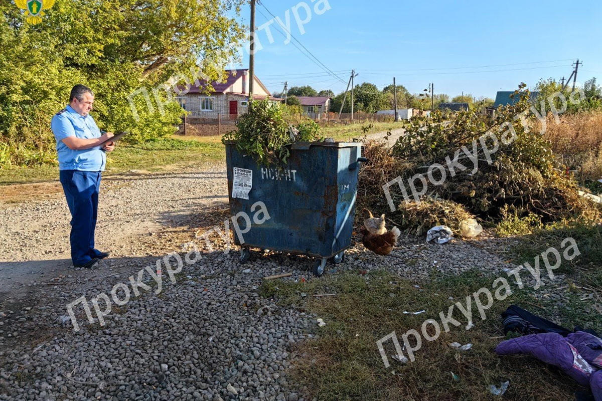 Воловская прокуратура проверила содержание контейнерных площадок