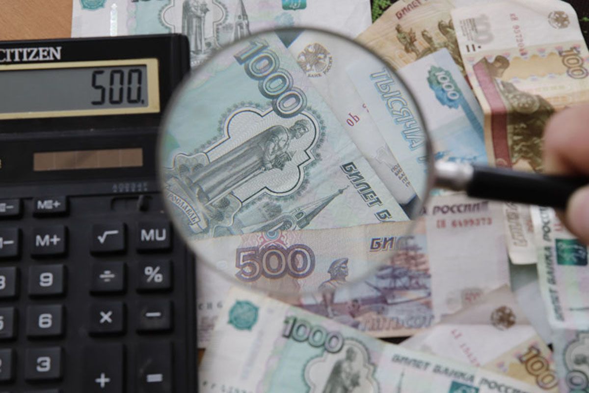 Доходы самозанятых Тульской области составили более 30 млрд рублей