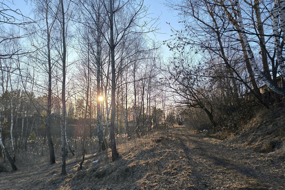 В пятницу в Суворове облачно с прояснениями