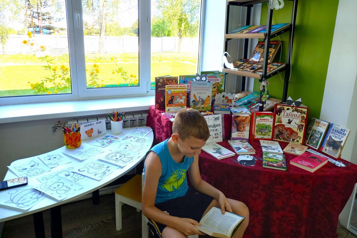 В Черепетской библиотеке открылась выставка «КотоВау!ляндия»