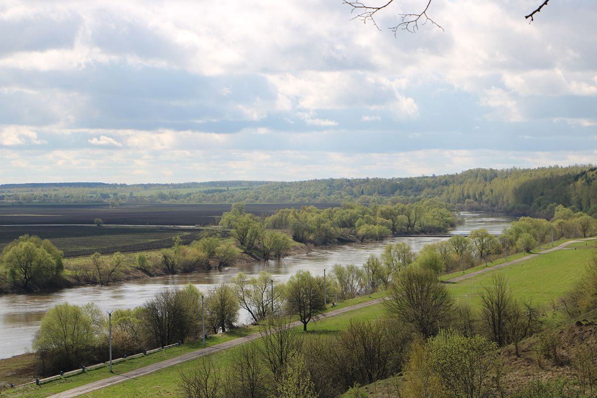 Суворовцы могут посмотреть новое видео на песню «Нежность»