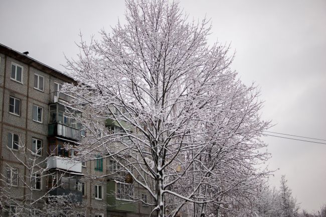 В понедельник в Суворове ожидается небольшой снег