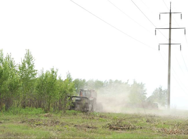 В «Тулэнерго» проведена расчистка трасс и расширение просек линий электропередачи на площади более 400 гектаров В «Тулэнерго» проведена расчистка трасс и расширение просек линий электропередачи на площади более 400 гектаров