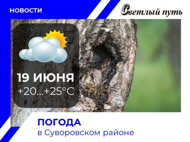 Погода в суворове карта осадков