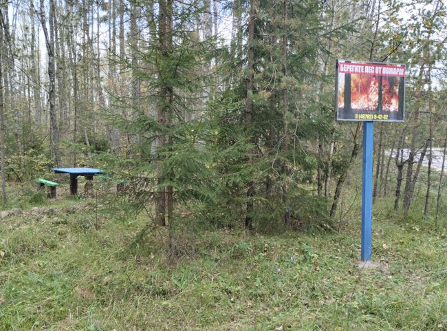 Суворовские лесничие призывают граждан соблюдать правила пожарной и санитарной безопасности в лесу