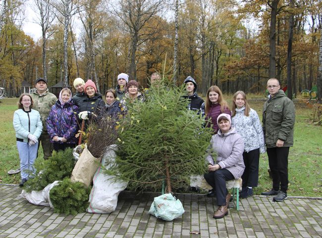 «Сохраним лес»: суворовские лесничие и волонтёры высадили более ста саженцев в Городском парке