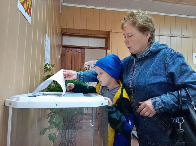 В Тульской области явка избирателей на 15.00 составила 33,39%