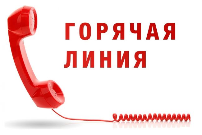 Работает горячая линия по вопросам детского отдыха, качества и безопасности детских товаров