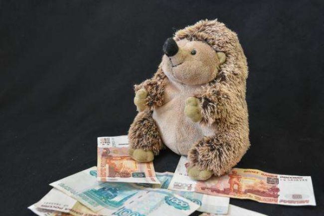 Житель Тепло-Огаревского района задолжал своему ребенку 338 тысяч рублей