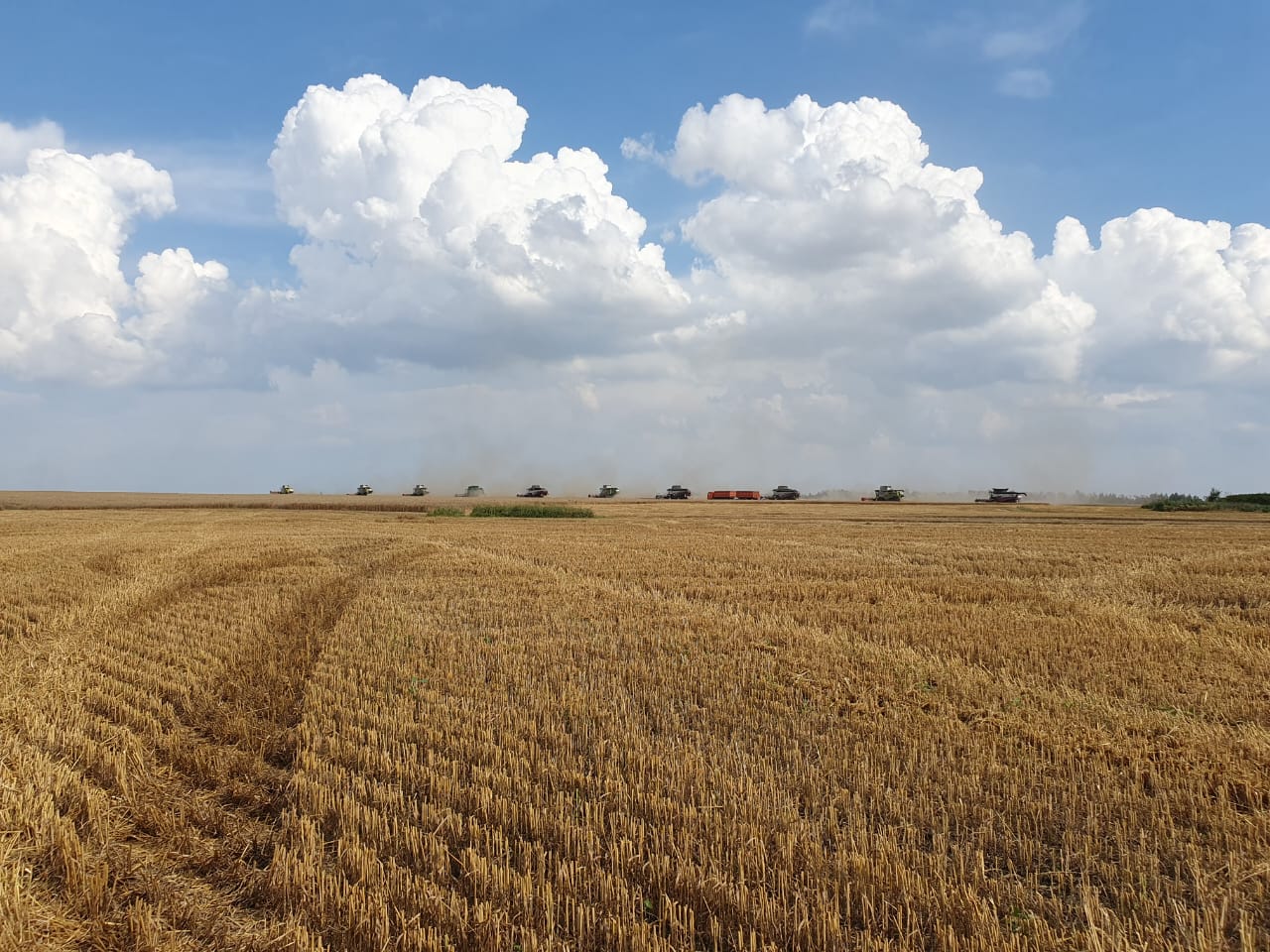 Теплоогаревские аграрии уже намолотили более 100 тысяч тонн зерна