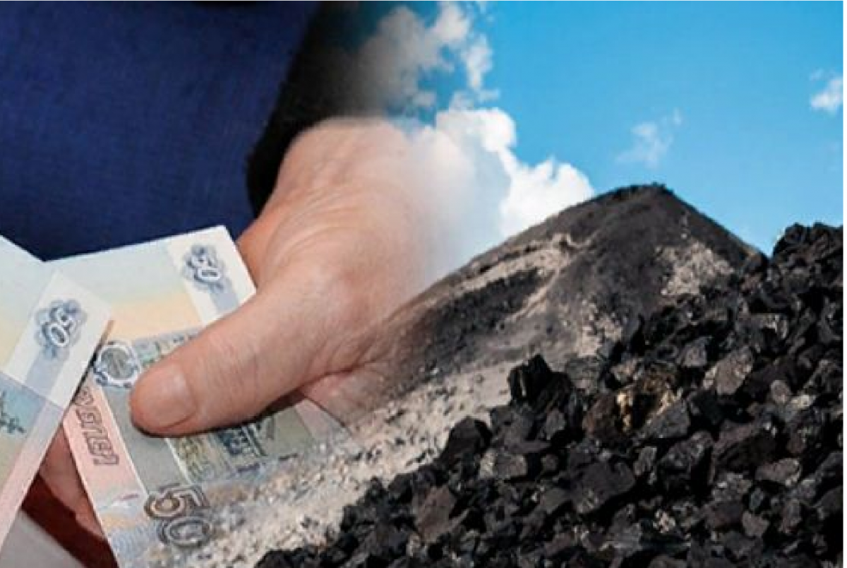Твердое топливо для семей участников СВО на половину оплатит бюджет области