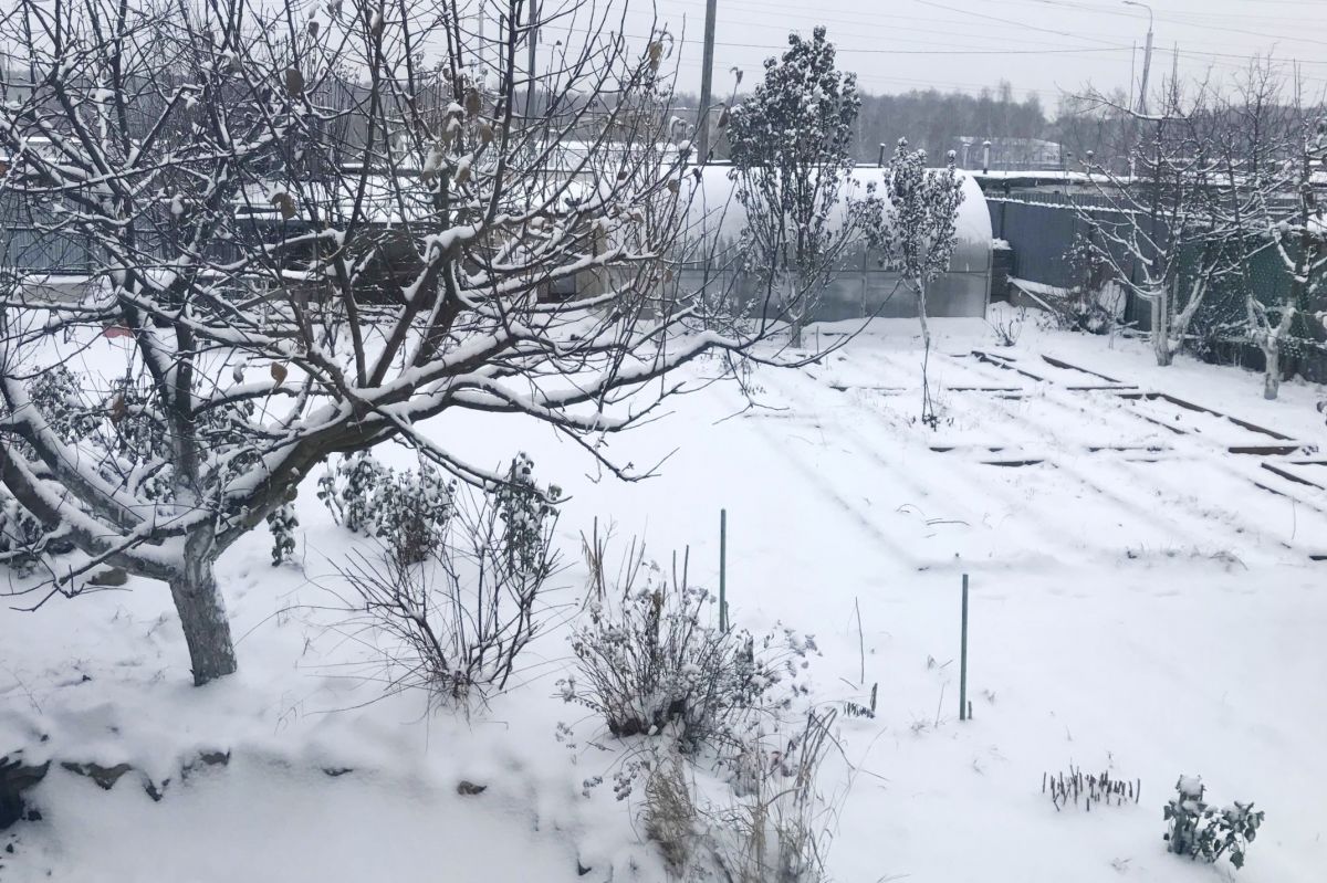 Ноябрь. Календарь садовода-огородника Ноябрь. Календарь садовода-огородника