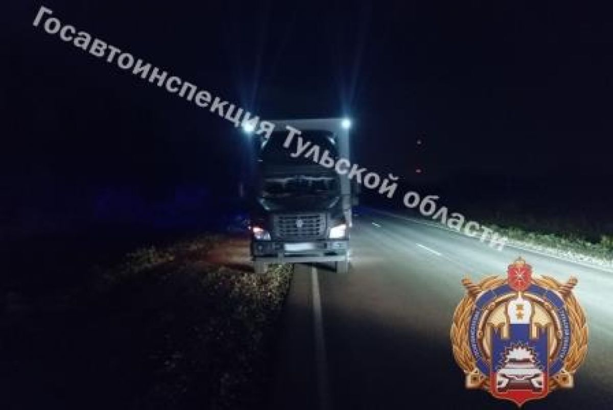 На автодороге Лапотково-Ефремов произошло ДТП с участием велосипедиста