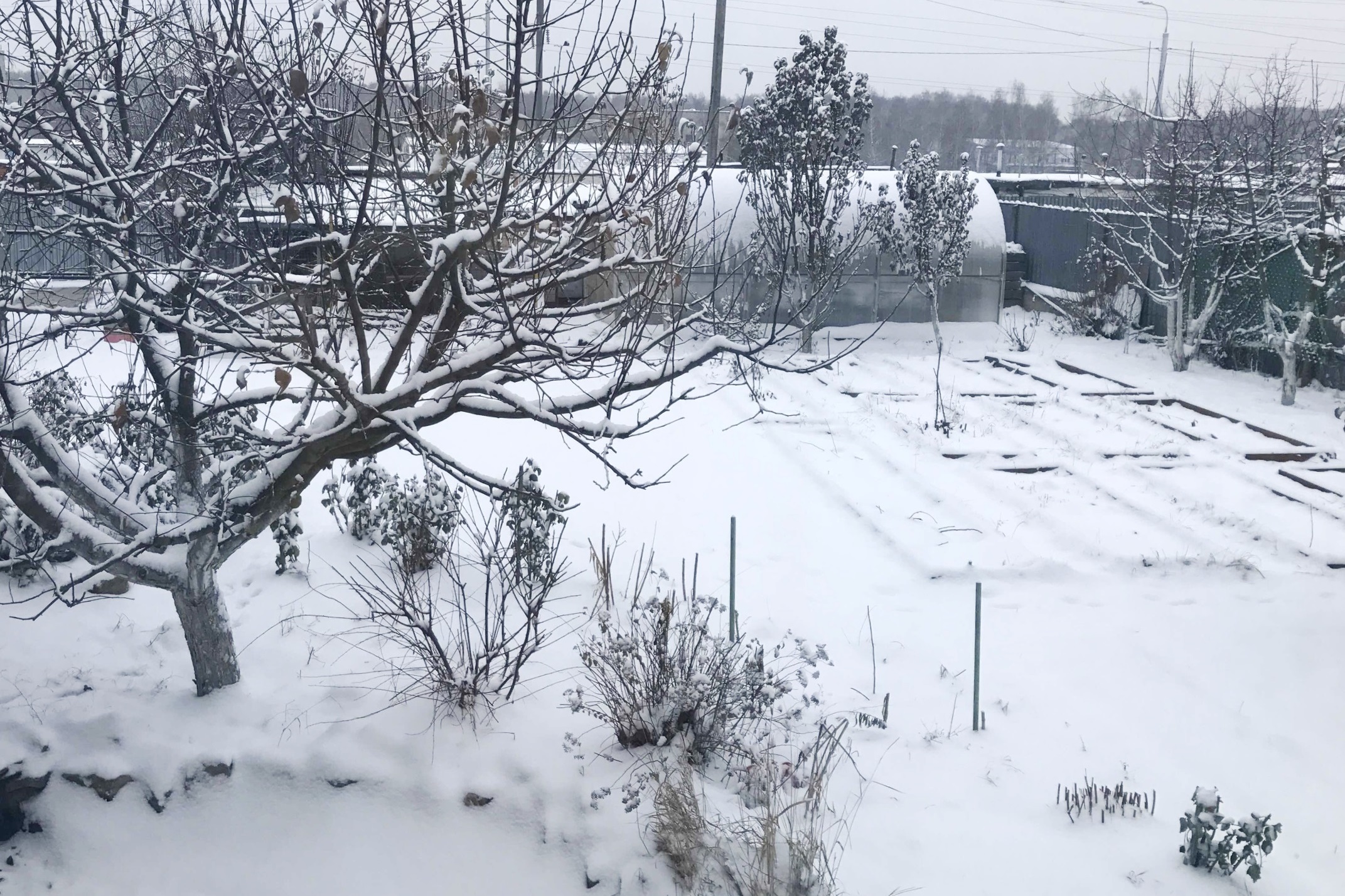 Садовые работы в начале зимы Садовые работы в начале зимы