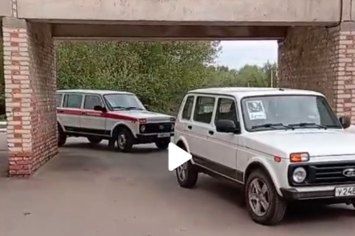Сотрудники Тепло-Огаревской ЦРБ провели автопробег под эгидой «Бессмертного полка»