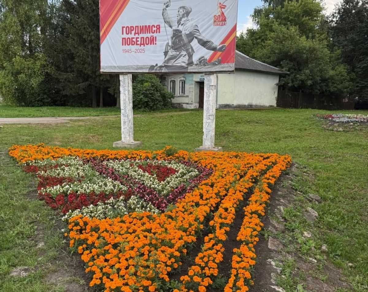 Смотри, какая красота: Теплое радует цветущими клумбами