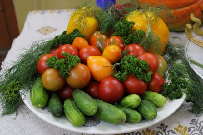 Что из фруктов и овощей выбрать в феврале