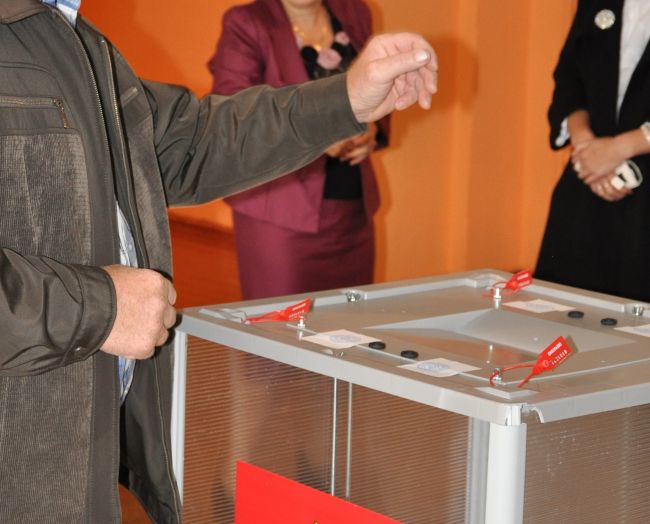 Более 1,4 тыс. кандидатов борются за места в собраниях депутатов Тульской области