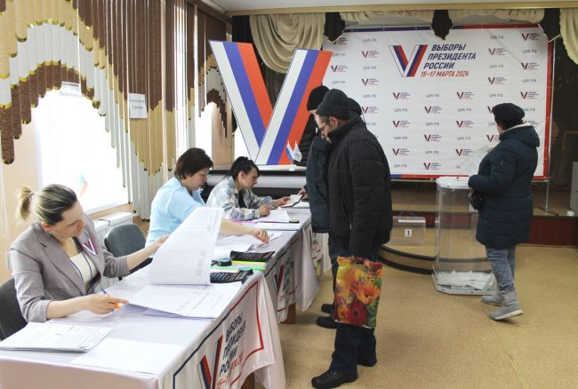 В Тепло-Огаревском районе проголосовали 37,10% избирателей