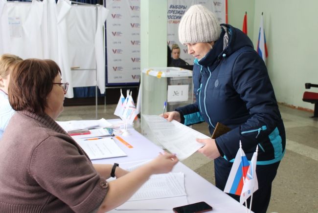 В Тульской области явка избирателей на 15.00 составила 22,45%
