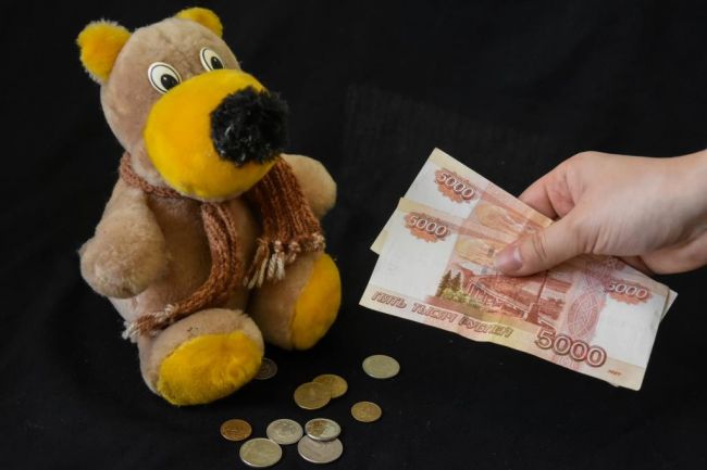 Жительница Новомосковска незаконно получала выплаты на ребенка