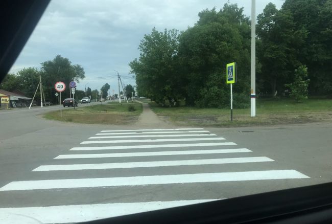 Такую зебру нельзя не заметить: в Теплом обновили разметку на пешеходных переходах