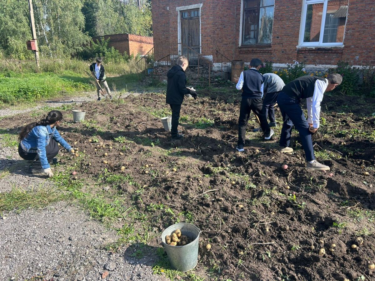 Школьники вырастили овощи для российских бойцов