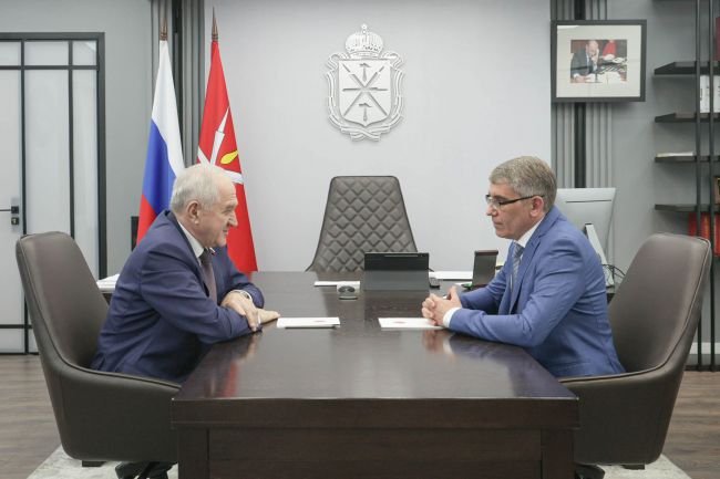 Дмитрий Миляев встретился с председателем Комитета Совета Федерации по обороне и безопасности Владимиром Булавиным