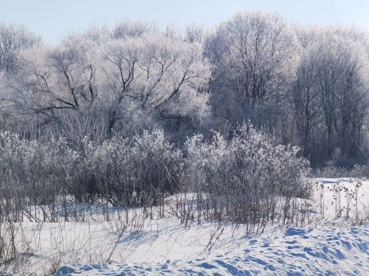 Дмитрий Миляев в связи с похолоданием в Тульской области напомнил телефон вызова экстренных служб