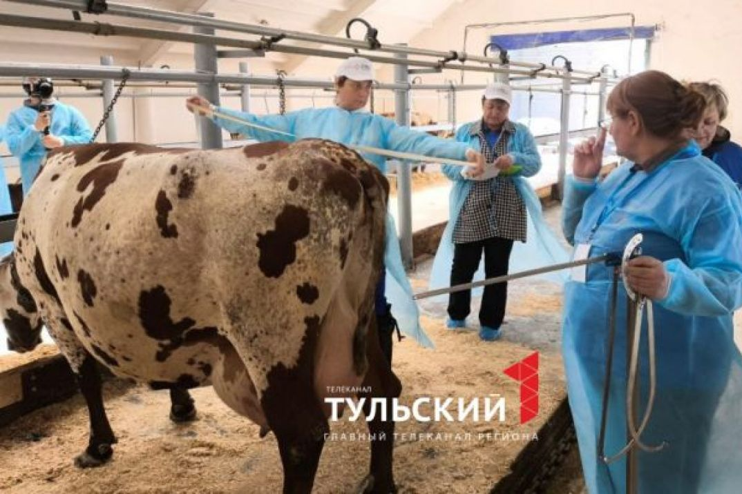 В Киреевске выберут лучшего зоотехника Тульской области