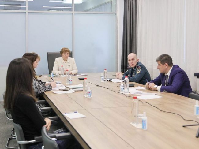 В Туле подвели итоги года работы областной комиссии по делам несовершеннолетних