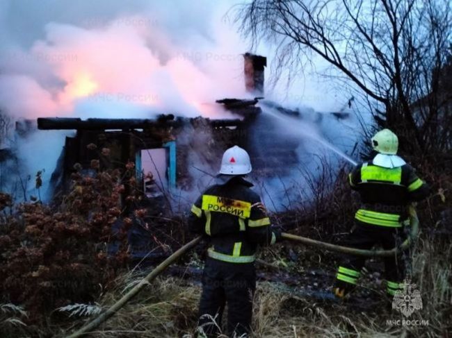 В Узловском районе в огне погибла женщина